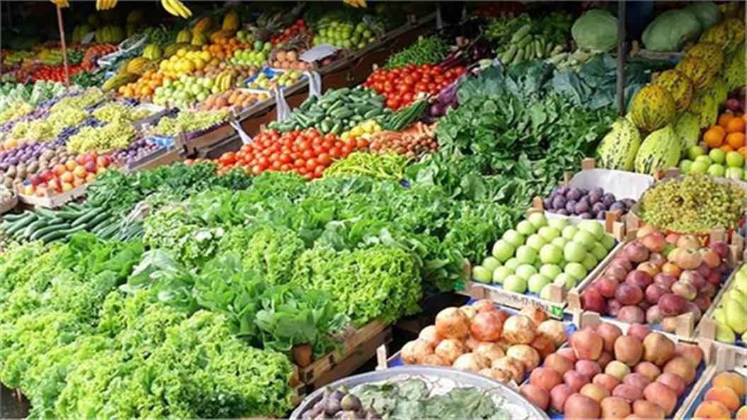 «الإحصاء»:292 مليون دولار إجمالي صادرات مصر من المنتجات الزراعية